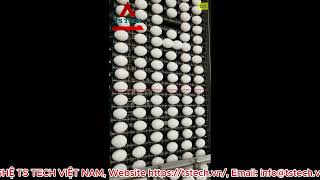 TSTECH || Automatic Egg Counter || máy đếm trứng tự động.