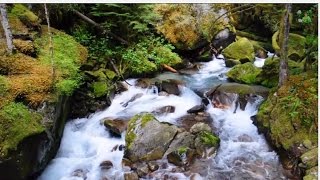 The Cascades  Piano Duet