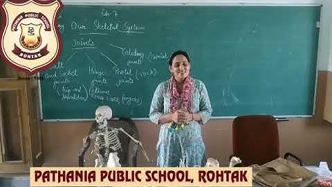 Pathania Main Campus   Class 5  ch-7 (skeletal system) part2 Date 08/08/2020