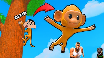 SHINCHAN NOOB vs PRO vs HACKER in MONKEY CLIMB ROBLOX with FRANKLIN & CHOP | DREAM SQUAD