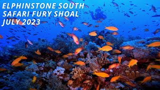 SAFARI FURY SHOAL - ELPHINSTONE SOUTH - JULY 2023