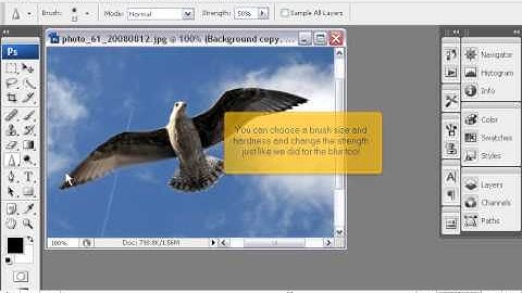 How to use the Blur Sharpen and Smudge tools in PhotoShop