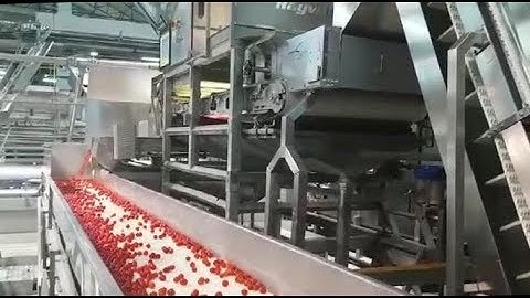 Rayvolution optical sorting machine for cherry Tomatoes | RAYTEC VISION SpA