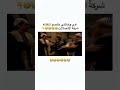 امي وخالتي خلصو مكالمه شركة الاتصالات   