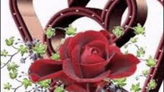 سكة سلامة أبوطالب