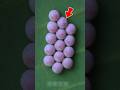 Stink Bug or Alien Egg? 🤯 The Truth Will Surprise You! #Shorts #NatureFacts #StinkBug