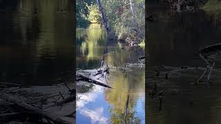Pine River so peaceful