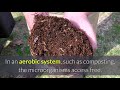 Aerobic Digestion and Anaerobic Digestion Compared and the Important Differences Explained