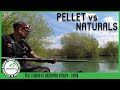 Pellet vs Naturals in Spring - Brickyard Fishery Ripon