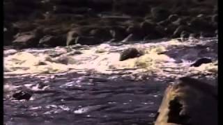 Famous River Landforms GCSE Geography Wealth