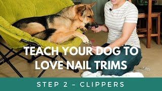 Teach Your Dog To Love Nail Trims - Introducing the Clippers by FACT Academy 4,689 views 6 years ago 3 minutes, 54 seconds