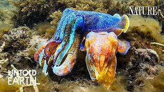 We Crashed the Ocean’s Freakiest Breeding Ground