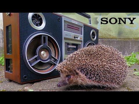 SONY CFS-85S - YouTube