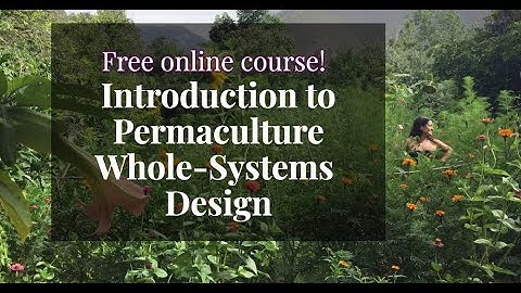 Introduction to permaculture for beginners free online permaculture design course