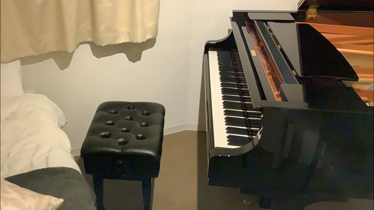 [パート１]9,000人🦁突破記念ライブin音泊‼️