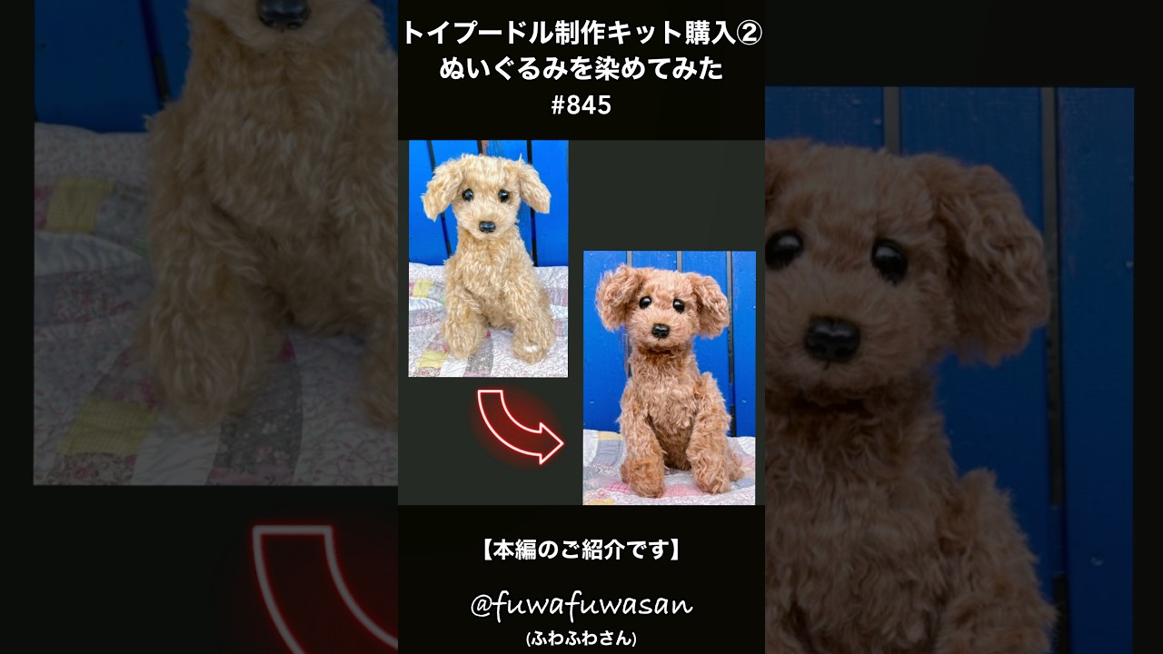手作りぬいぐるみを染めてみた・トイプードル制作キット②・布絵の具