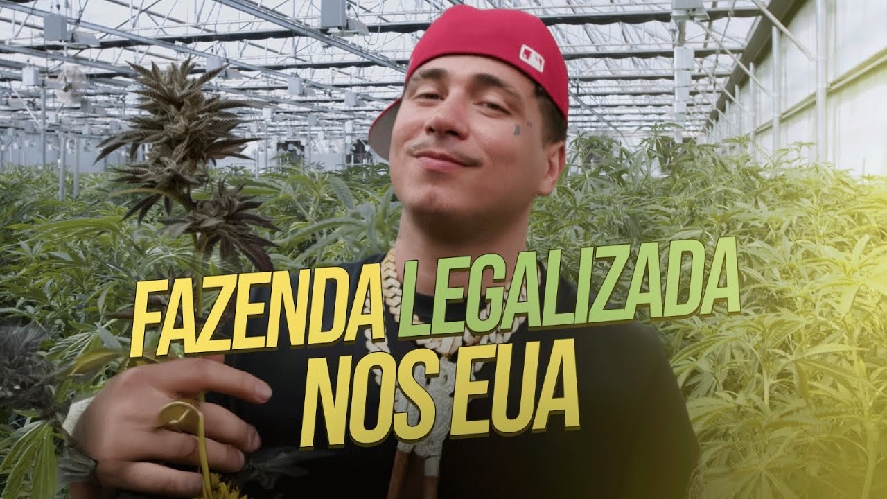 Minha Vida Na Califórnia - Vlog do Felp EP.2