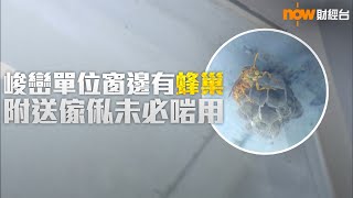 20190802 樓市每日睇﹣新屋入伙：元朗峻巒2C期