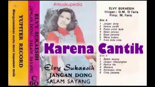 (Full Album) Elvy Sukaesih # Karena Cantik