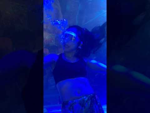 Jalpari show sheorinarayan mela 2026 || #jalpari #mermaid