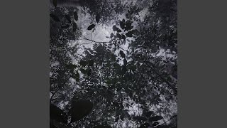 Download Lagu MULRI BOHU (Remastered 2025) MP3