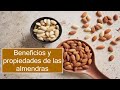 Beneficios de las almendras y como pelarlas fácilmente | Gloria en casa