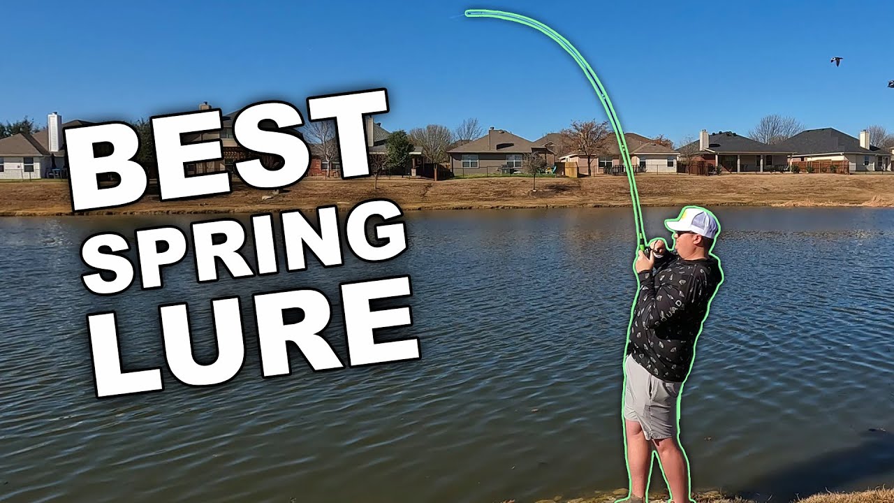 Spring Bass Fishing Texas Ponds (Fishing February 2023)