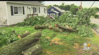 Storms Bring Down Trees, Knocking Out Power Around Massachusetts