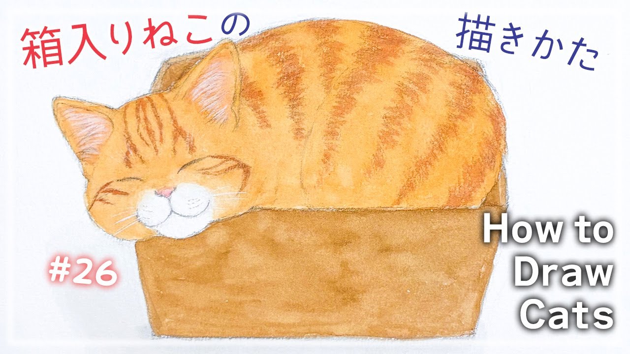 猫のアニメーションイラスト, F3 size, Acrylic, How to Draw a Relaxing Cat in a Box | Tips for Natural-Looking