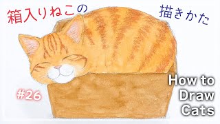 How to Draw a Relaxing Cat in a Box | Tips for Natural-Looking