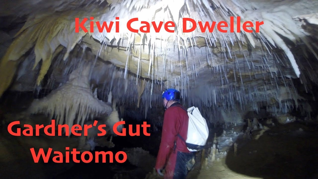 Where all the fun goes down - Gardner's Gut Waitomo