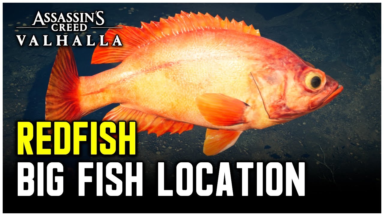 Assassin's Creed Valhalla - Big Redfish Location