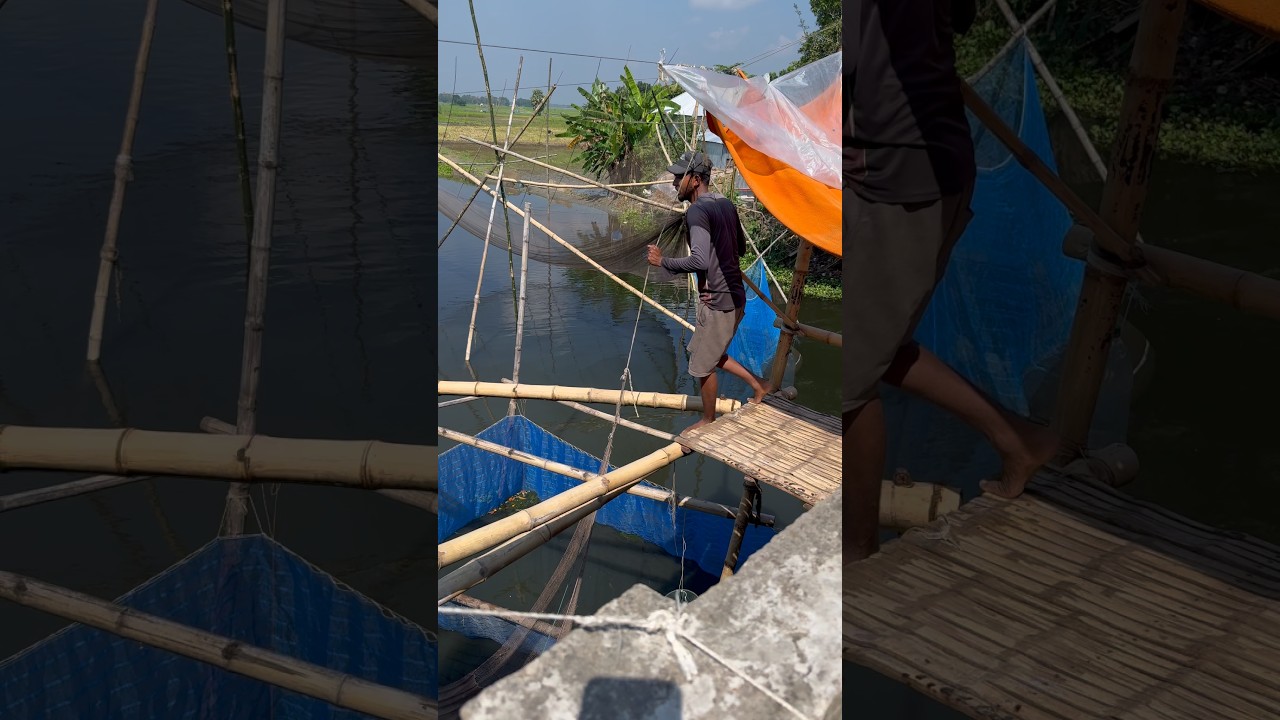 Amazing lift Net fishing in village lake 