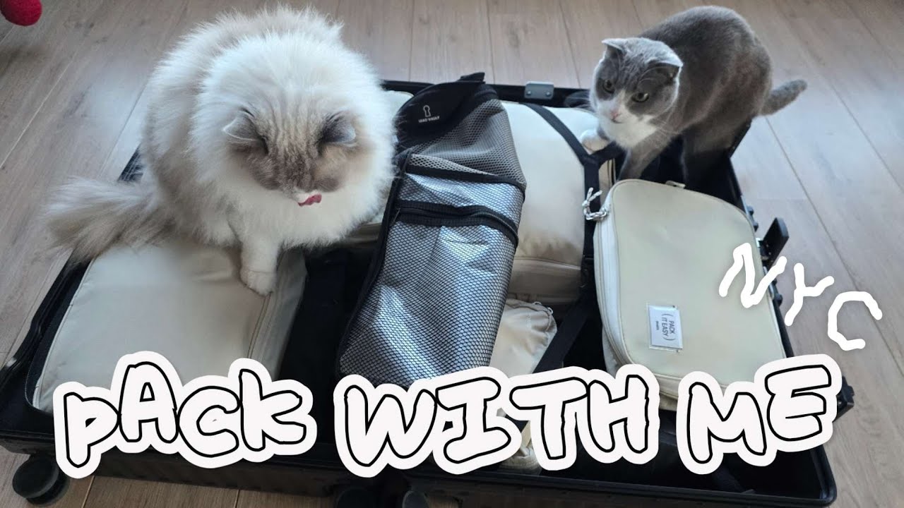 Pack With Me! 뉴욕 6박 7일 짐싸기