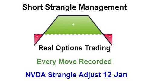 NVDA 30 Dec Nvidia Corp Short Strangle Adjusted