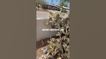 Cinder block HMU #construction #diy #shortsvideo #homeinspections