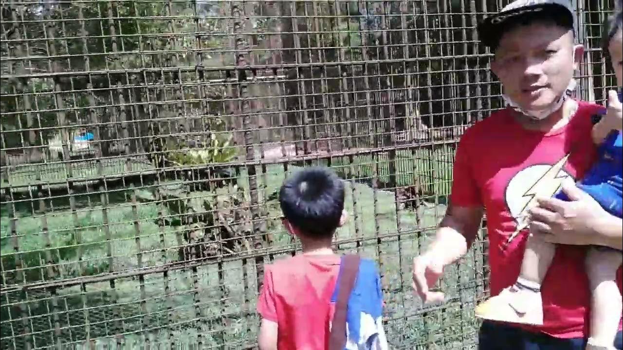 Taman Mini Zoo Batang Duri,Temburong,Brunei 18/12/2022 YouTube
