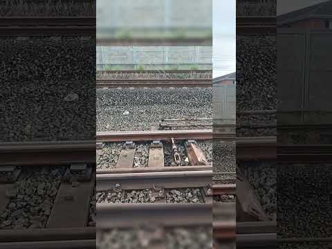 More Rail Switching And Some Trains