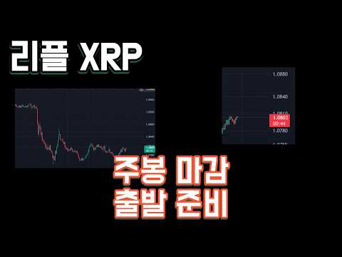 리플 XRP 주봉 마감 출발 준비