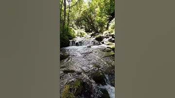 ربي أسألك خير ما في هذا اليوم وخير ما بعده #دعاء #دعاء_الصباح #اذكار_الصباح #مشاري_العفاسي