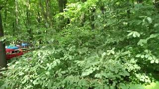 Camping in the woods at  Brigg's farm Blues Festival 2022