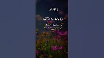 #اكسبلور #المصحف #راحة_نفسية #سورة الفجر