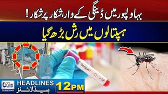Big News - Dengue Out Break In South Punjab | 12PM News Headlines | 31 Oct 2025 | Rohi
