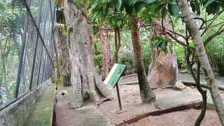 the zoo of chiangmai thailand 2023 of my first time