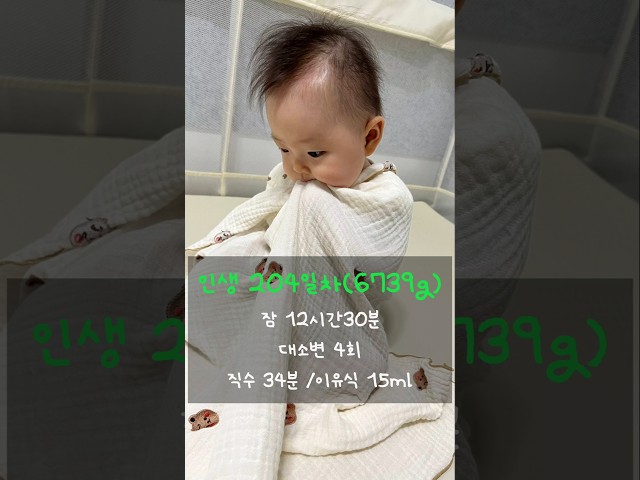 인생 204일차 소호의 하루! 소호가 "맘마"라고 말했다니까요!!! ㅎㅎ#육아브이로그 #육아일상 #육아일지
