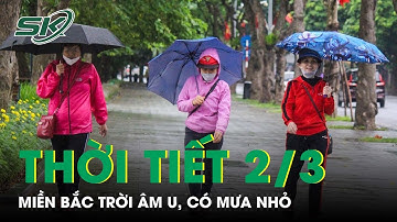 Dự Báo Thời Tiết 2/3: Miền Bắc Chuyển Mưa Nhỏ, Trời  m U Sương Mù; Miền Nam Mưa Dông Cục Bộ | SKĐS