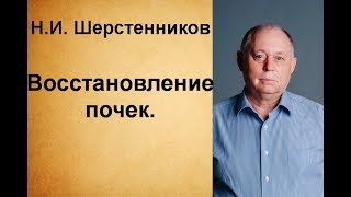 Шерстенников Н.И. Восстановление почек.