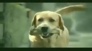 Download Lagu Aku mondor alon alon , MP3