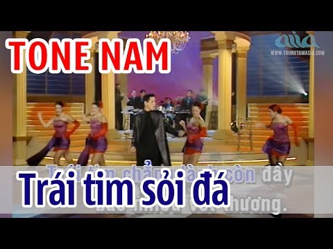 Trái Tim Sỏi Đá KARAOKE - Lê Tâm | Tone Nam | Asia Karaoke Beat Chuẩn