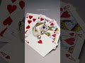 ラヴィン / claquepot